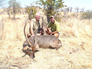 zim2008_waterbuck.jpg