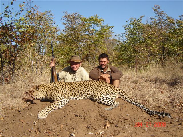 leopard_with_dogs_thslotsho_area_4.jpg